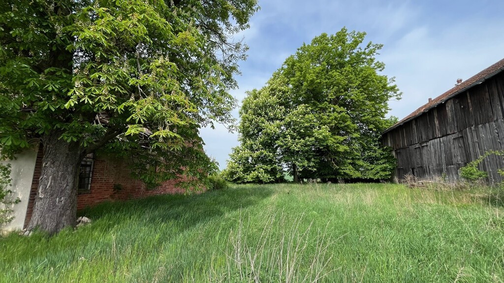 Działka Sprzedaż Plöwen, Löcknitz-Penkun, Vorpommern-Greifswald, Meklemburgia-Pomorze Przednie, 17322, Niemcy retziner weg