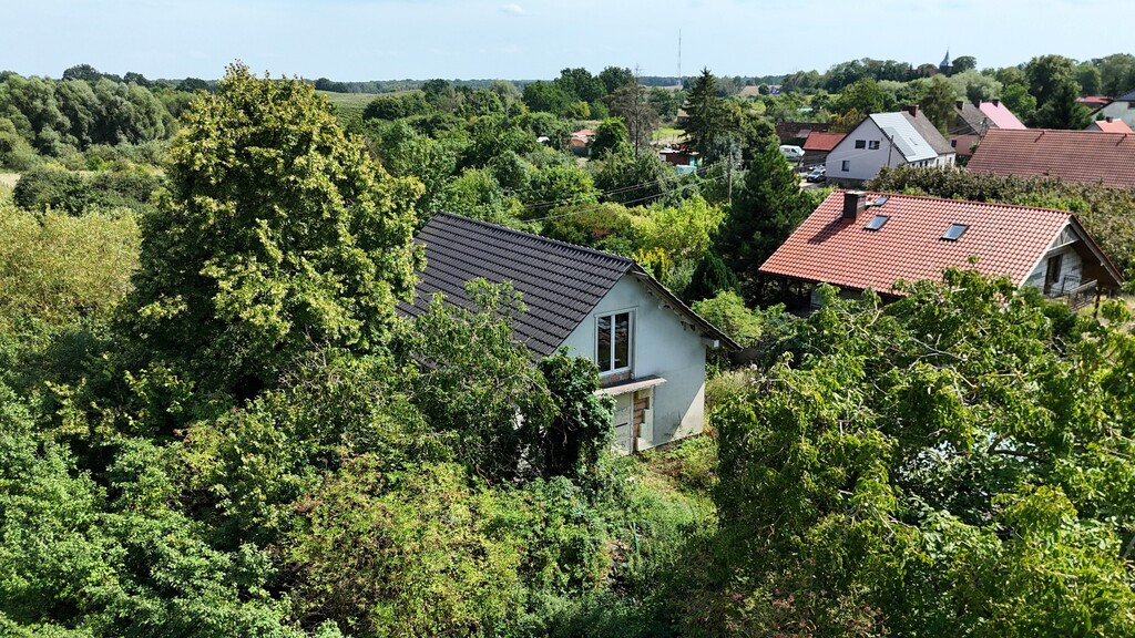 Dom Sprzedaż Gogolice
