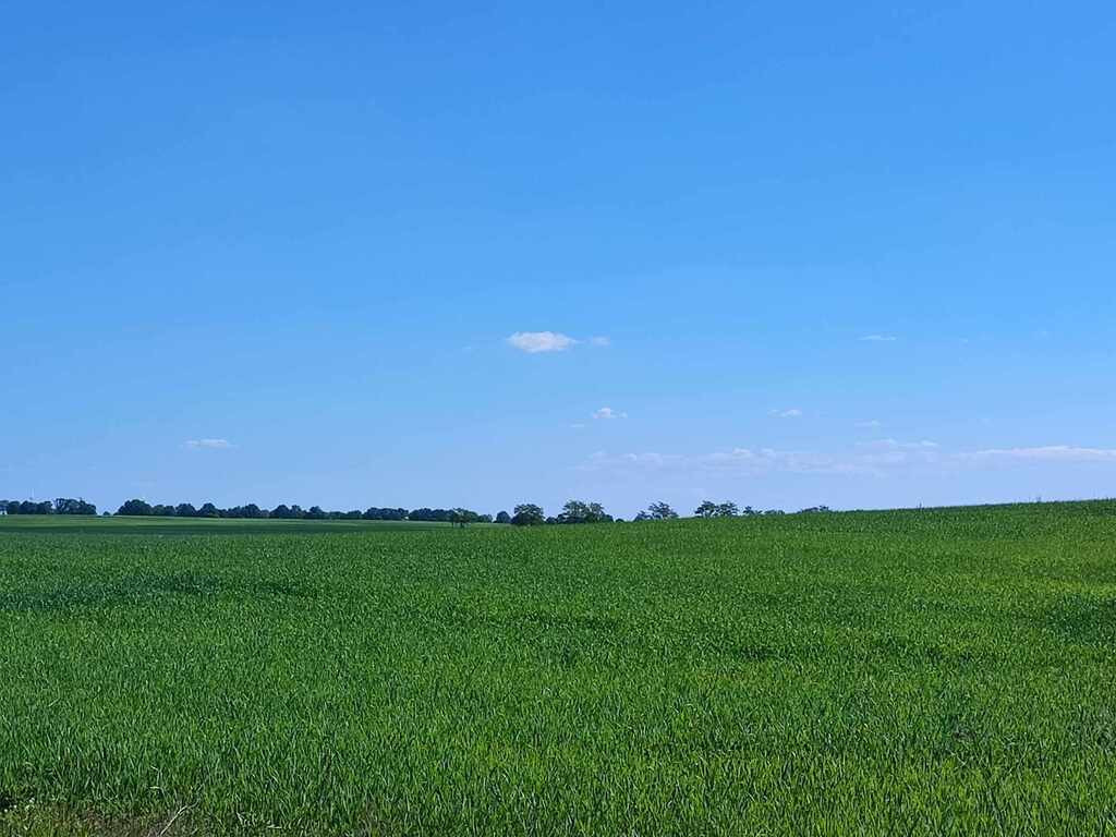 Działka Sprzedaż Grabowo