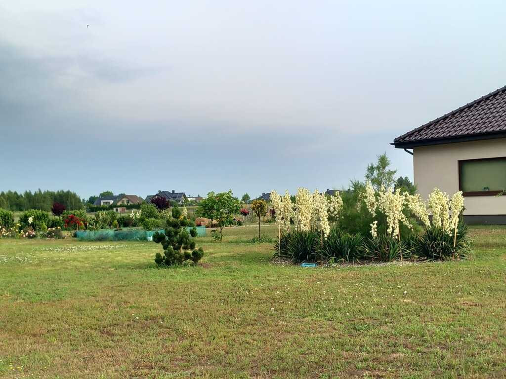 Dom Sprzedaż Radziszewo