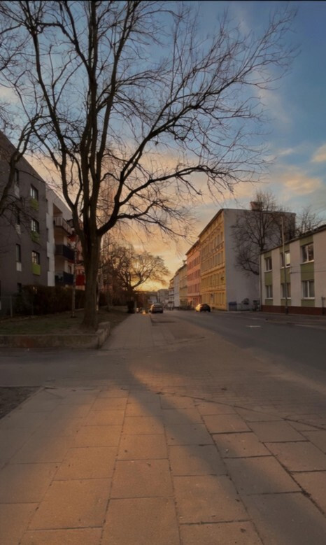 Lokal Wynajem Szczecin Śródmieście Jana Kazimierza