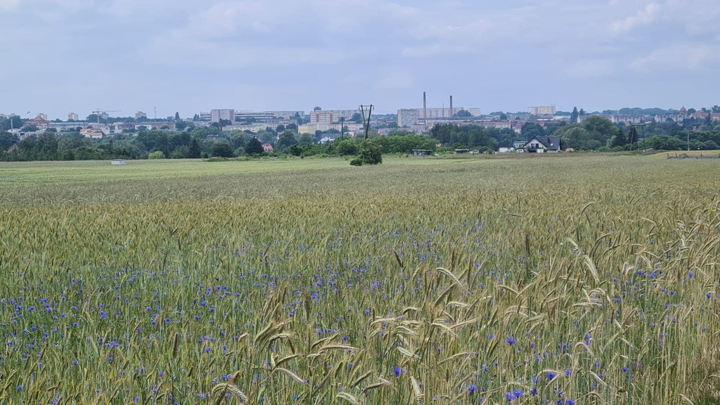 Działka Sprzedaż Stargard
