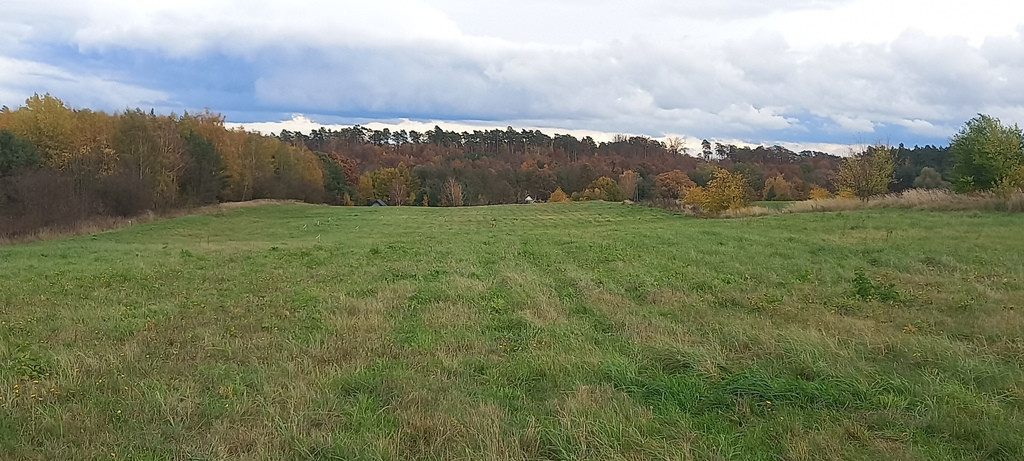 Działka Sprzedaż Steklno