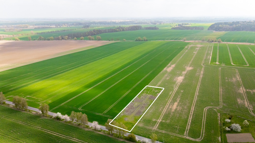 Działka Sprzedaż Pyrzyce