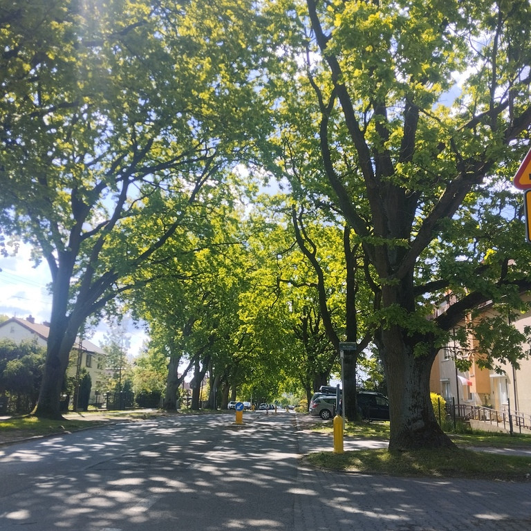 Mieszkanie Sprzedaż Szczecin Warszewo Szwedzka