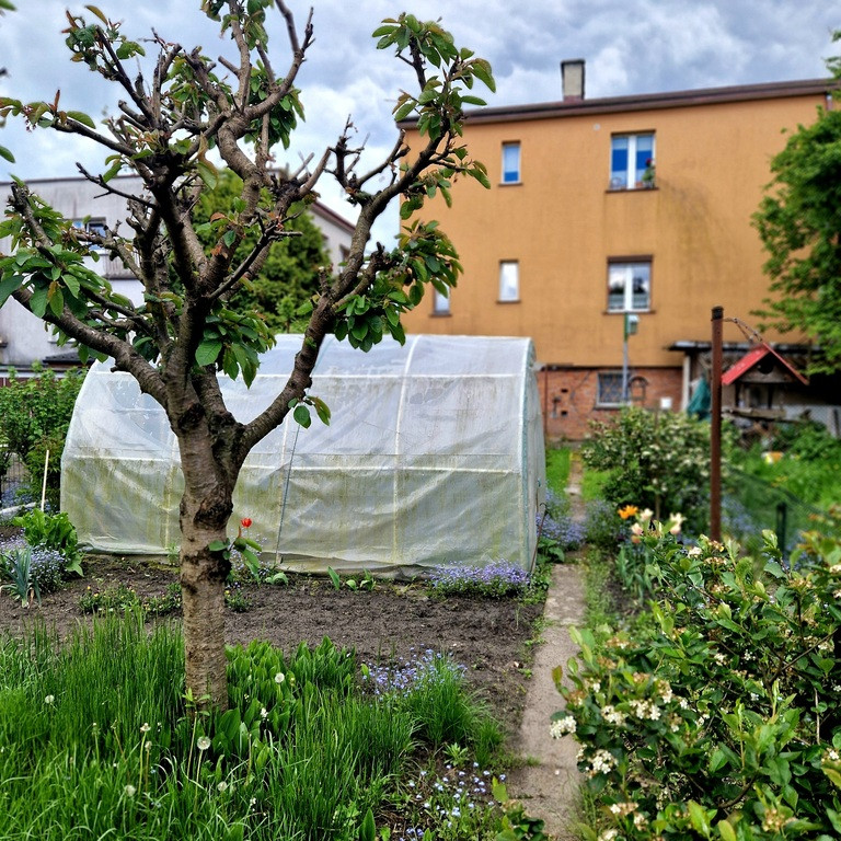 Mieszkanie Sprzedaż Goleniów Marii Dąbrowskiej