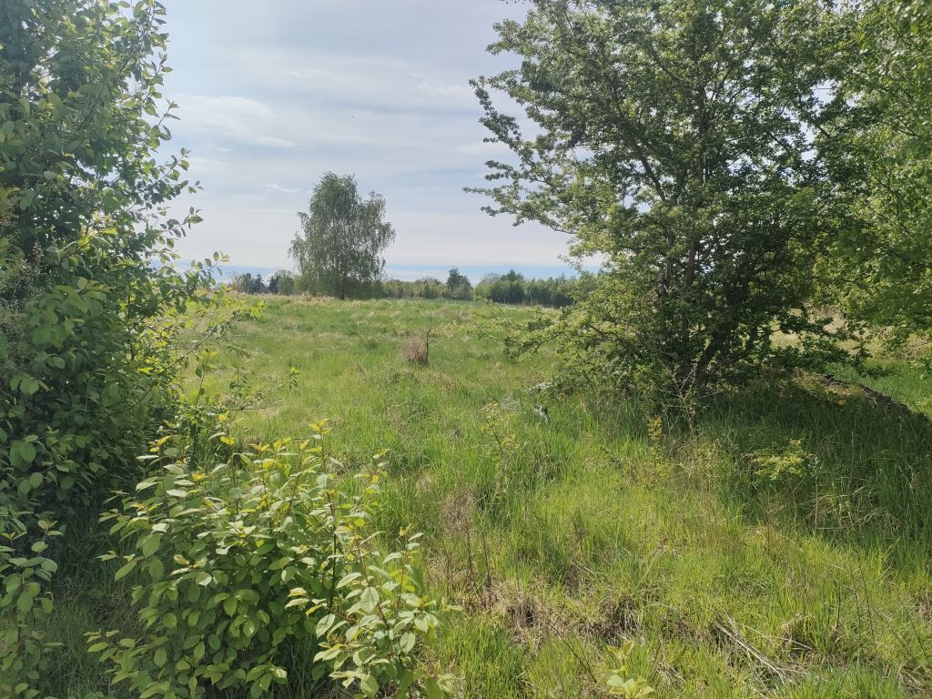 Działka Sprzedaż Lędzin