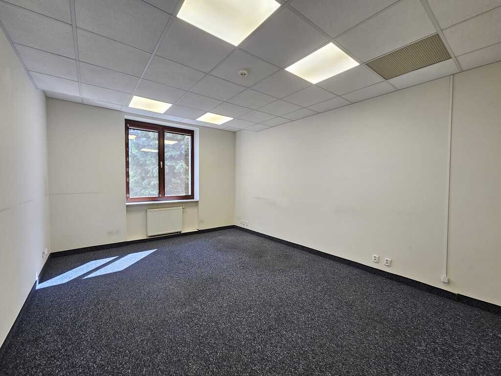 Lokal Wynajem Szczecin Centrum