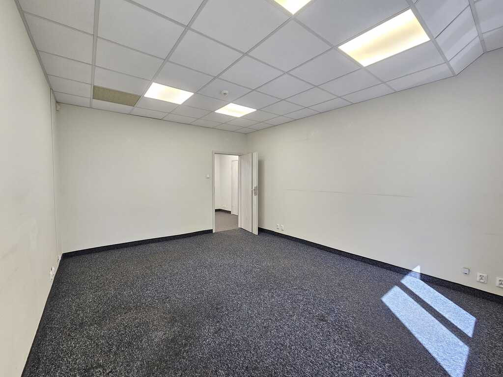 Lokal Wynajem Szczecin Centrum