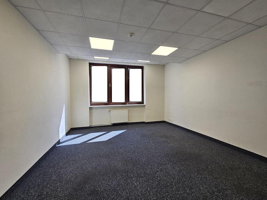 Lokal Wynajem Szczecin Centrum