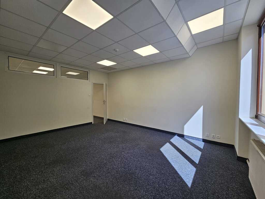 Lokal Wynajem Szczecin Centrum