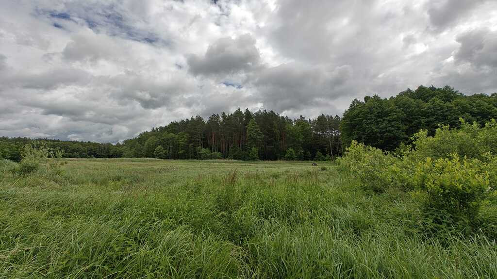 Działka Sprzedaż Nowogard