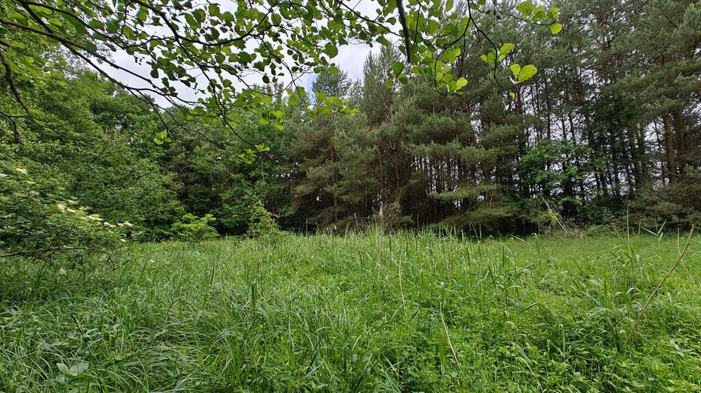 Działka Sprzedaż Nowogard