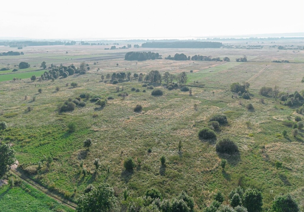 Działka Sprzedaż Rurzyca
