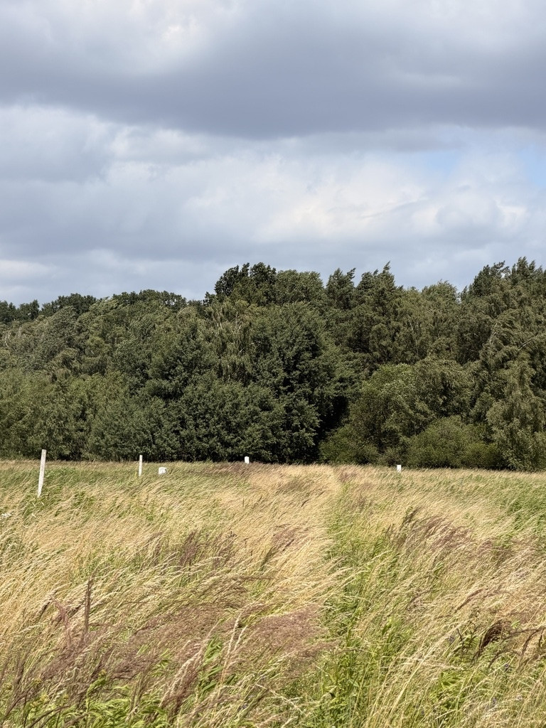Działka Sprzedaż Niedźwiedź