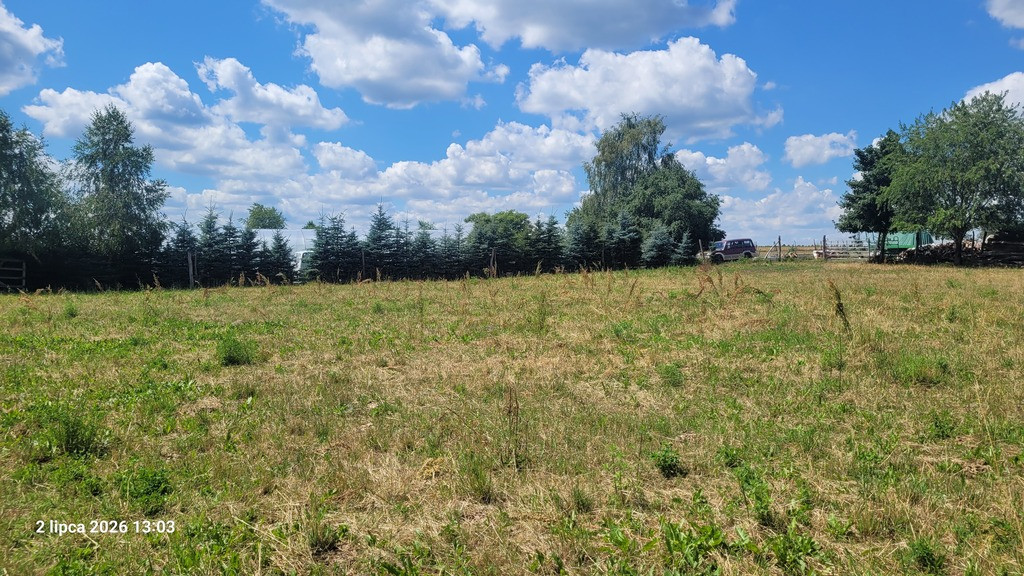 Działka Sprzedaż Wiśniewo