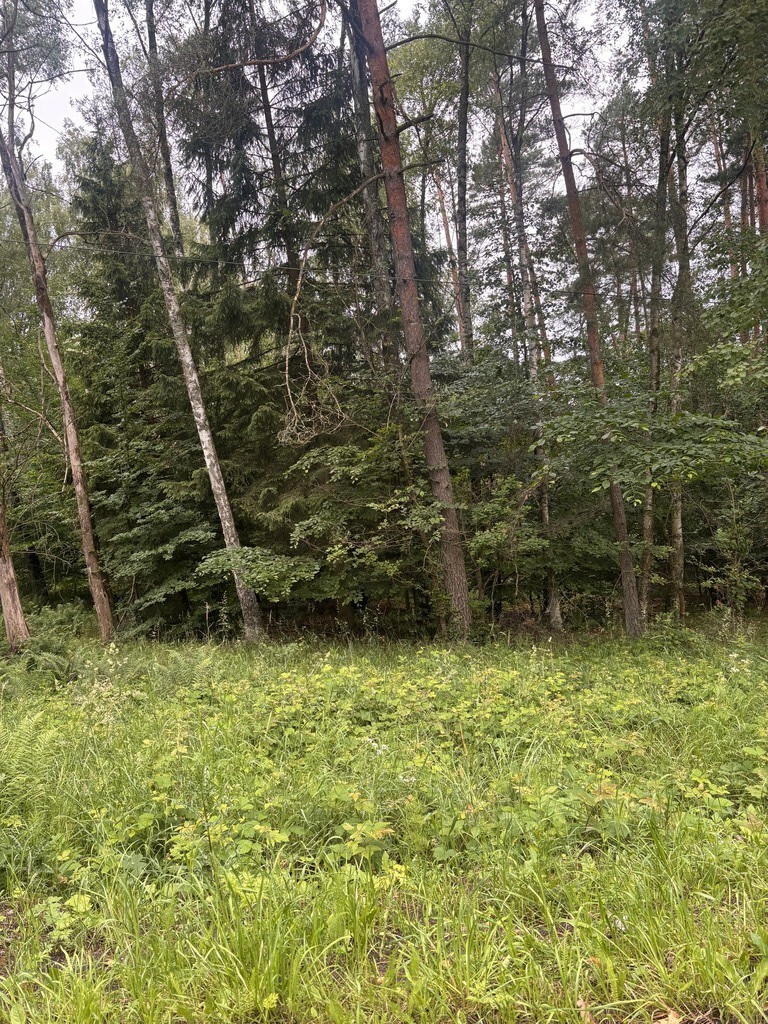 Działka Sprzedaż Piaseczno