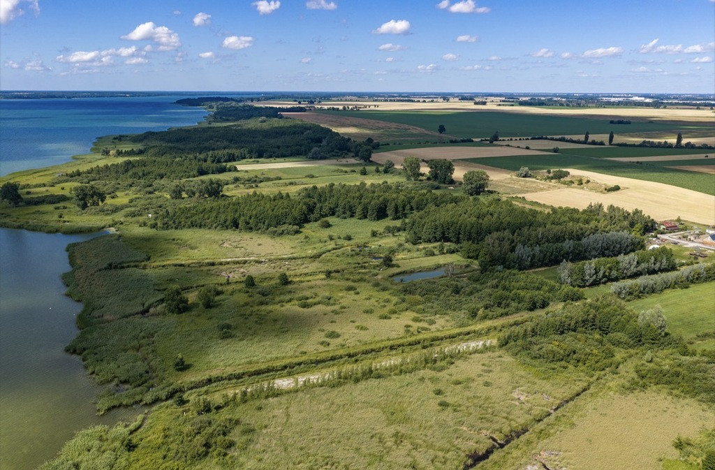 Działka Sprzedaż Wierzbno