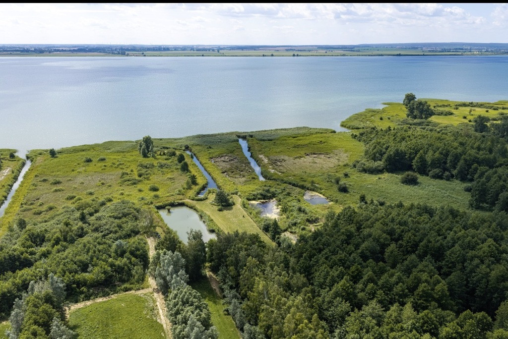 Działka Sprzedaż Wierzbno