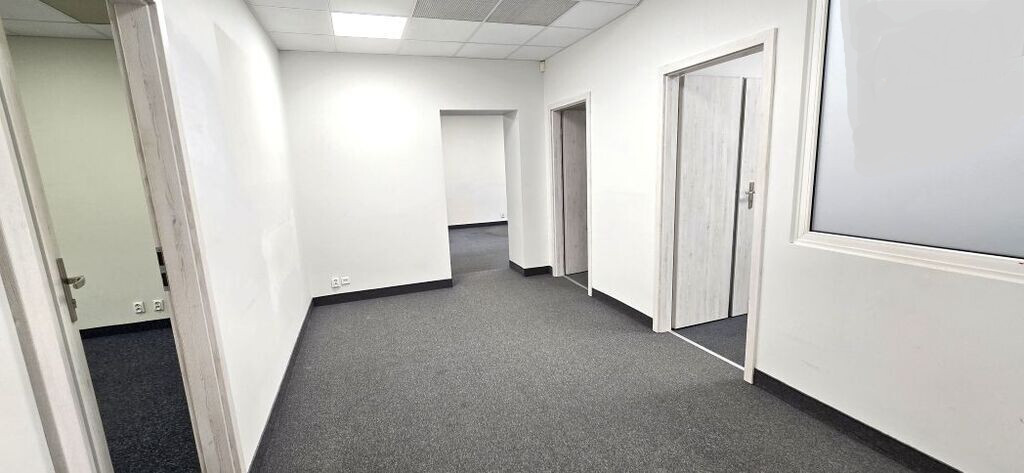 Lokal Wynajem Szczecin Śródmieście-Centrum