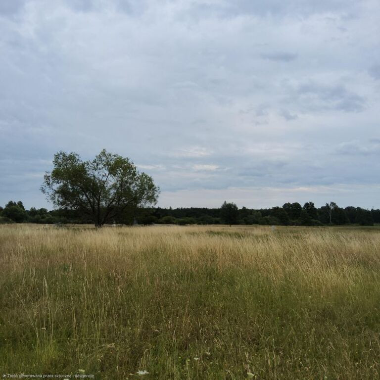 Działka Sprzedaż Buk
