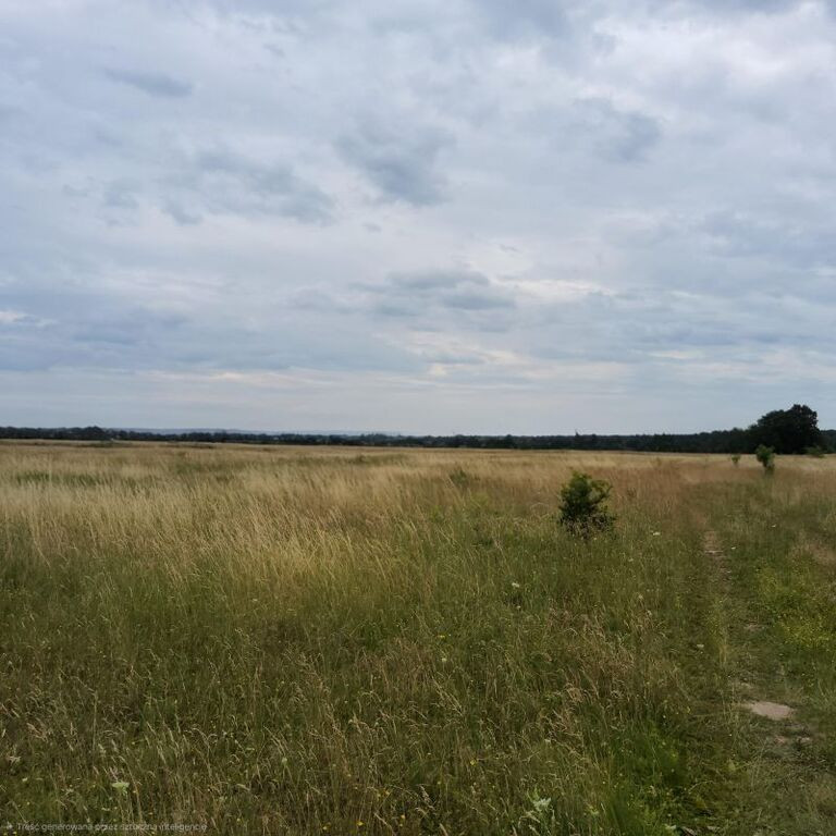Działka Sprzedaż Buk