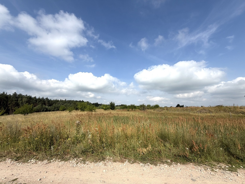 Działka Sprzedaż Daleszewo