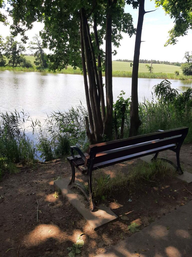 Dom Sprzedaż Borzym