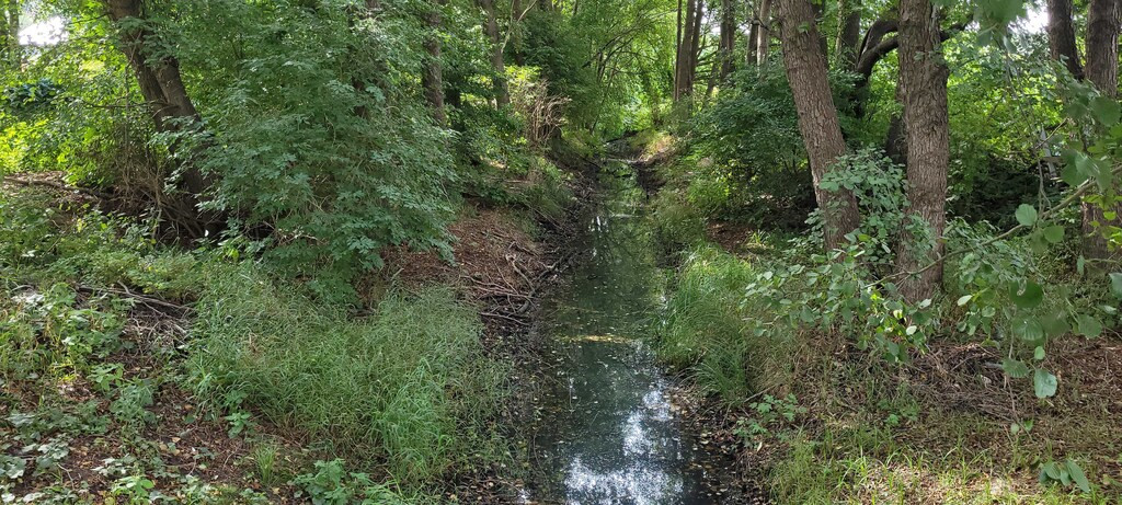 Działka Sprzedaż Szczecin Sławociesze