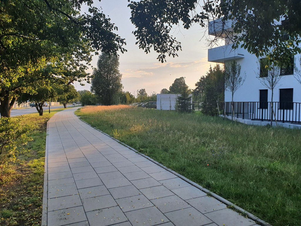 Mieszkanie Wynajem Szczecin Tadeusza Kutrzeby