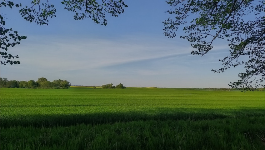 Działka Sprzedaż Jęczydół