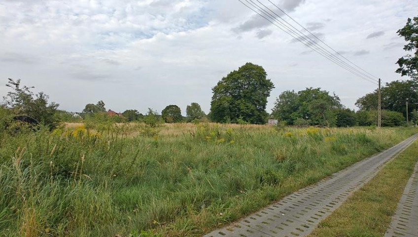 Działka Sprzedaż Białuń
