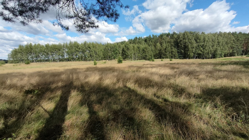 Działka Sprzedaż Komarowo