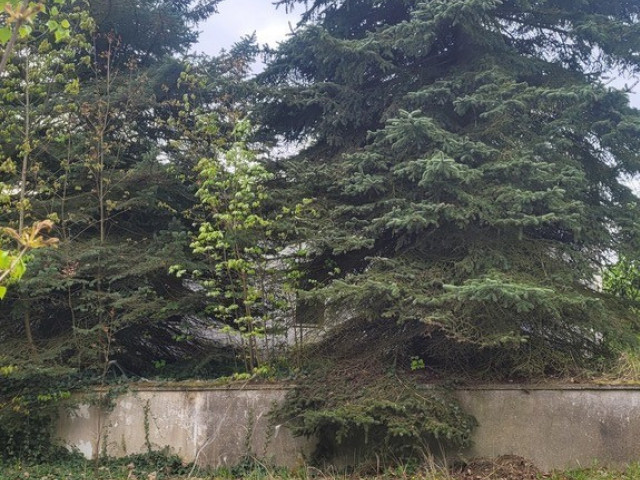 Działka Sprzedaż Recz Kolejowa