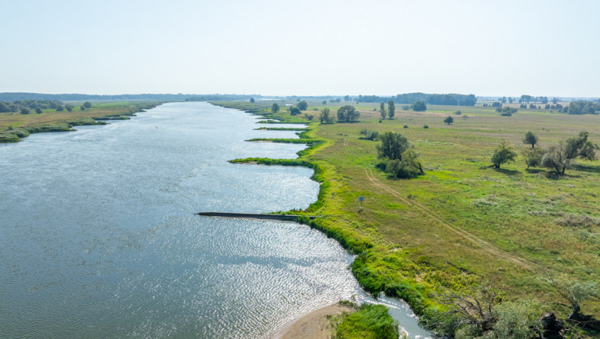 Działka Sprzedaż Gozdowice