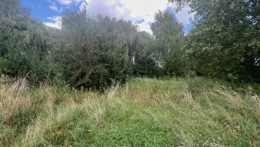 Działka Sprzedaż Parsów