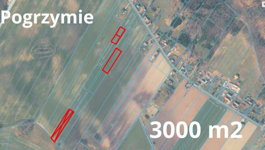 Działka Sprzedaż Pogrzymie