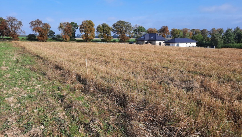Działka Sprzedaż Kurów