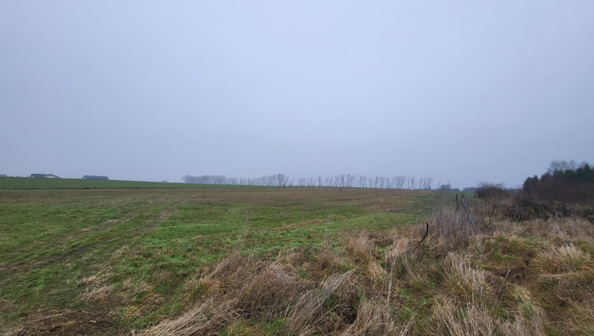 Działka Sprzedaż Warzymice