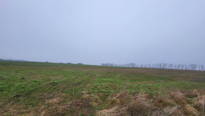 Działka Sprzedaż Warzymice
