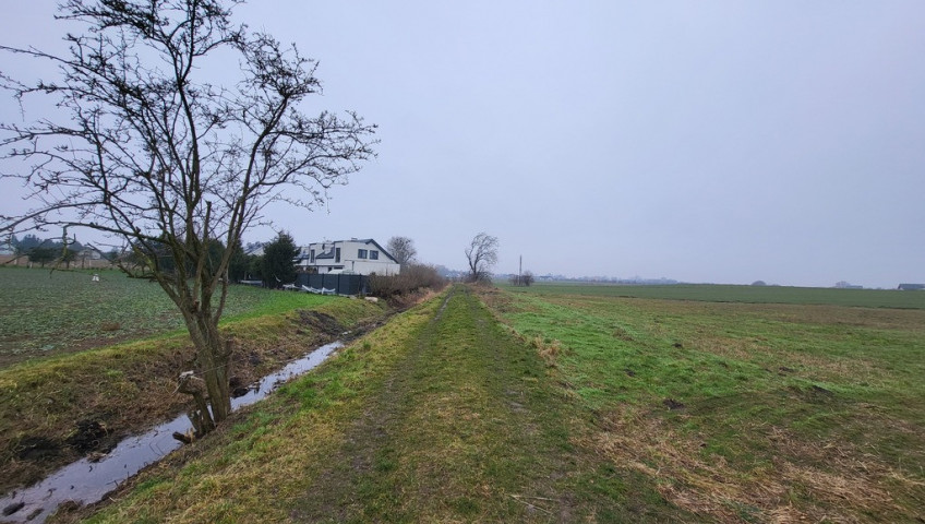 Działka Sprzedaż Warzymice