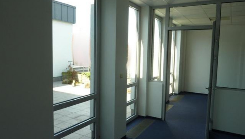 Lokal Wynajem Szczecin Centrum