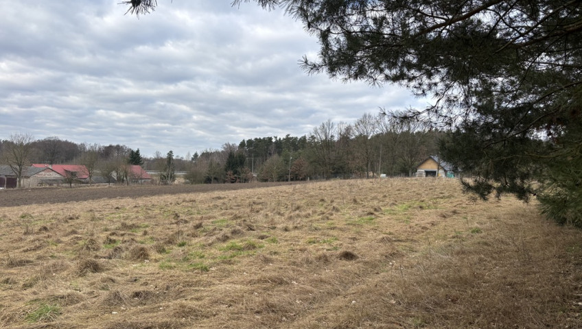 Działka Sprzedaż Kikorze