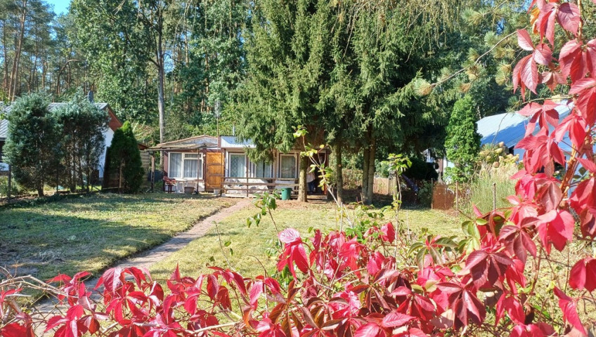 Działka Sprzedaż Bartoszewo