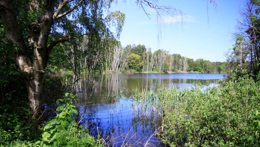 Działka Sprzedaż Bartoszewo