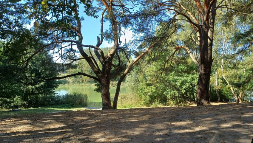 Działka Sprzedaż Bartoszewo