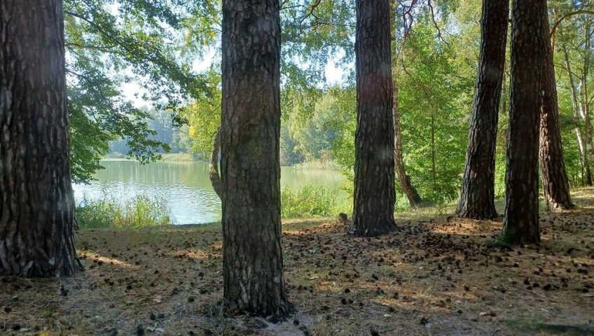 Działka Sprzedaż Bartoszewo