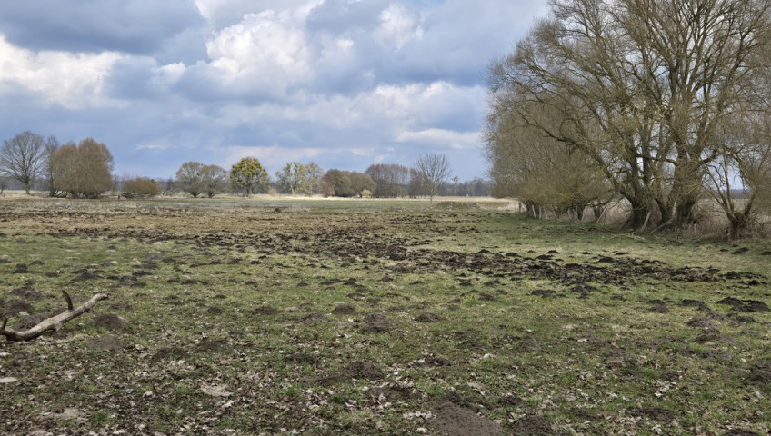 Działka Sprzedaż Rzędziny