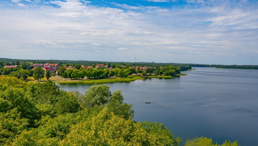 Działka Sprzedaż Ścienne