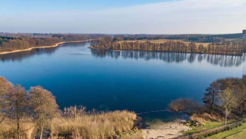 Działka Sprzedaż Ścienne